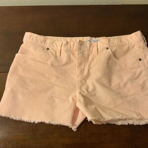 Oahu shorts Carve Design